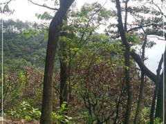 -庐山风景区花径公园