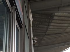 -1点点(文峰广场店)