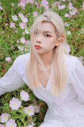 点击看大图 -斑斓色彩沙龙