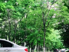 -蒲河岛湿地公园