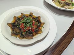 -老绍兴养和饭店(向阳不夜城店)