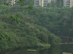-重庆彩云湖湿地公园
