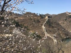 -辛玛王国游乐园