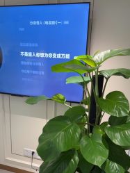 -广州美莱医疗美容医院