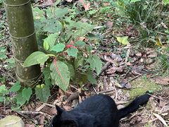 -国生茶庄·地道农家菜团建活动