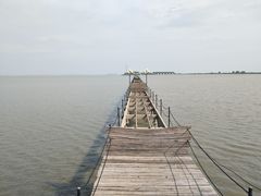 -洪湖生态旅游区