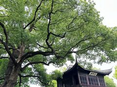 -惠山古镇·寄畅园