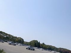 -胜华驾校·小猫学车(银都店)
