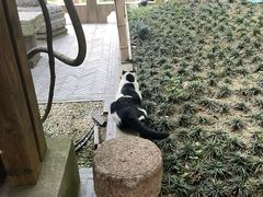 -龙华寺