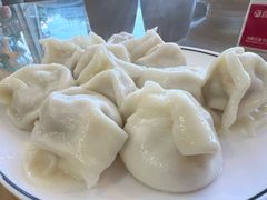 猪肉酸菜饺子-叁拾壹克饺子·东北菜(国贸店)