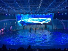 -海合安青岛极地海洋公园