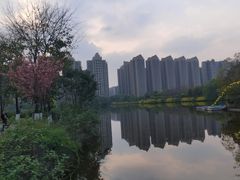 -南湖梦幻岛
