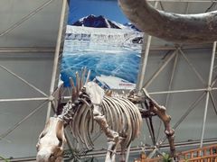 -中国第四纪冰川遗迹陈列馆