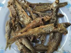 -阿马土菜馆