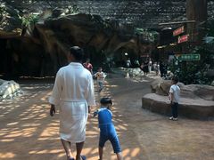 -杭州开元森泊度假乐园