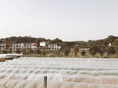 -关山古镇