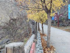 -京西十八潭风景区