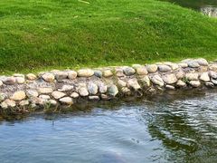 -咸阳湖景区-古渡公园