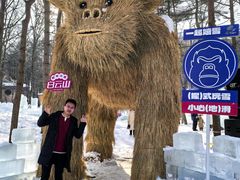 -洛阳白云山景区