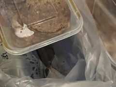 -章云板鸭(总店)