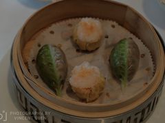 瑶柱土鱿烧卖-宝丽轩中餐厅BAOLIXUAN