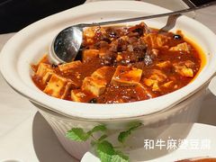 -大鸭梨烤鸭店(花园村店)