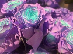 -ROSEONLY诺誓(广州K11店)