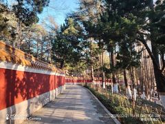 -青岛海滨风景区
