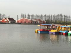 -上海长兴岛郊野公园