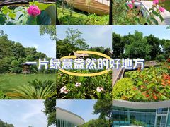 -云溪植物园