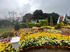 -南山植物园