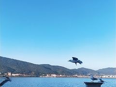 -海埂大坝