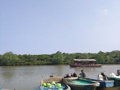 -东寨港红树林旅游区