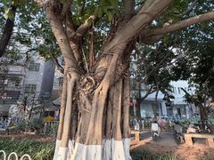 -黄埔古港