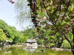 -团城山公园