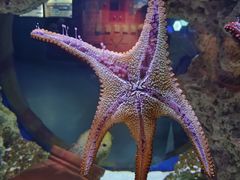 -海合安武汉极地海洋公园