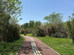 -桤木河湿地公园