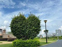 -东莞植物园