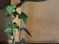 -花迹(富春江东街店)