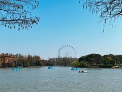 -上海野生动物园