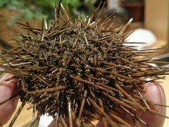 -泉寿司(万科公园店)