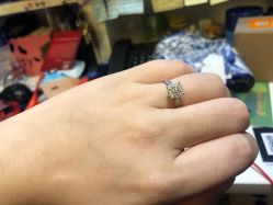 -TSL謝瑞麟(新世界城店)