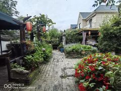 -慢丽江·云南野生菌土鸡锅(西山店)