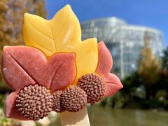 -昆明植物园