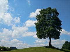-成都恒博医院·全科检查