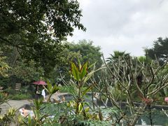 -龙山酒店温泉