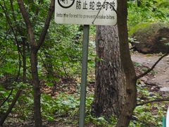 -吉林市朱雀山国家森林公园