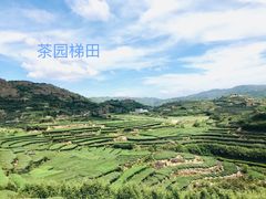 -军营村