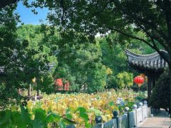 -丝绸小镇荻港古村