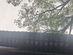 -范蠡湖公园